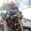 haiigais81