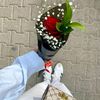bibicha_8472