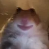 apelsin4ik_52