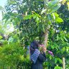 fatihfatma418