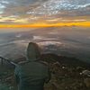 firdan_225