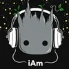 di_rem416