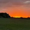 hh_starz1