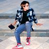 pdr_melon