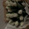 meshal_677
