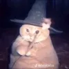 jesssie_1206