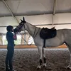 lablanscy