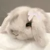 secretssofia7_