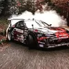 leotigroudu_17