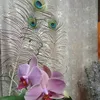 ilinanataliy