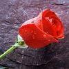 emmanmensah39gmail.com