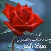 nadoosh11122