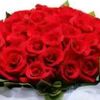 user8582672837960