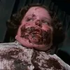 .bruce.bogtrotter