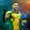 pkzin_5