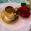 reem1313131313