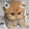 mrrydvncsto