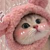 shaacii_