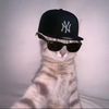 biscuok124
