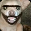 rexkylewale_485