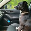 furryandfundoggo