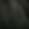rpdm0619