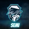 semi_automaticic