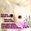 umie_ida