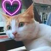 zidan.zidan082
