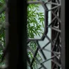 vanmong005