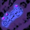 miloudbrahimi48