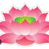 nguyen.nhan262