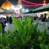 usera8bfe5ibyj