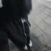 bedjwue