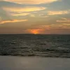 g_lpz19