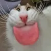 mattyrrkkka