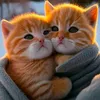 oumrachid02