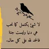 dymlrf969s52