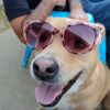 k9_handler_zoey