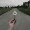 _sikaktus