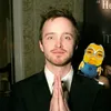 kittens_iv