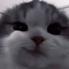 _wink_95