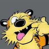 calvinhobbes007