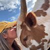 cowloving_chihuahuamom73