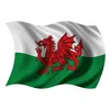 welshboy1511