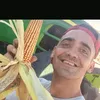 nachogatti19