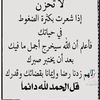 hala13881