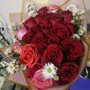 rous_15200