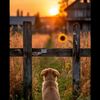 sebas_7851
