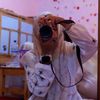 llibra_girls